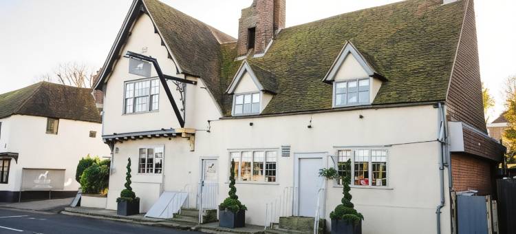 温甘狗狗酒店(The Dog at Wingham)图片