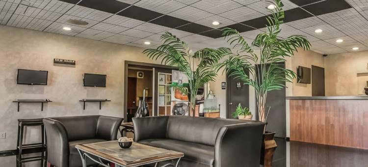 凯艺酒店-蒂梅丘拉山谷酒乡(Quality Inn Temecula Valley Wine Country)图片