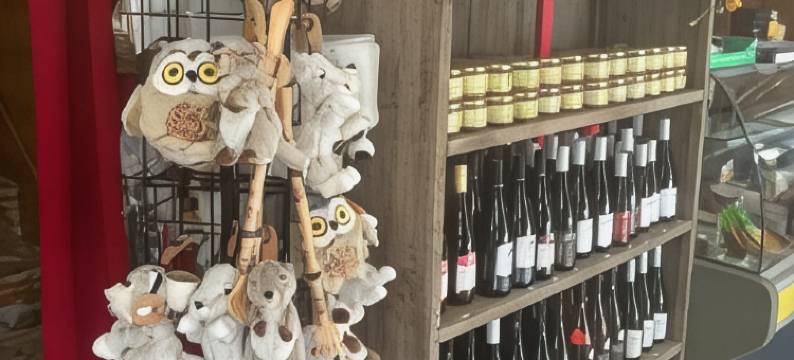 阿哈瑟雷欧尔奇瓦酒店(L'Ajasserie d'Orcival)图片