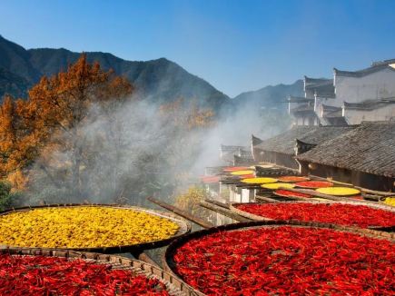 篁嶺秋日請柬，豐收畫卷徐徐展開