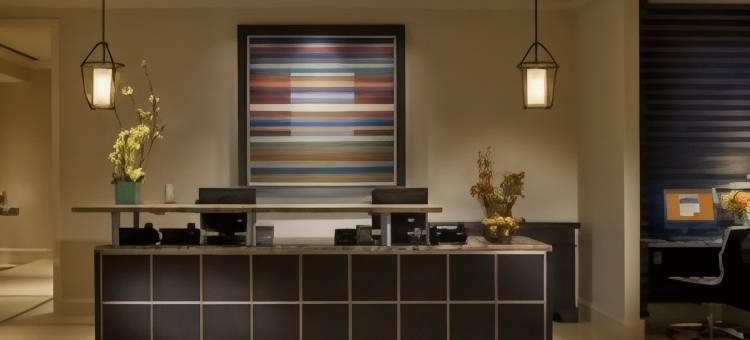 斯通布莱尔喜来登酒店(Sheraton Stonebriar Hotel)图片