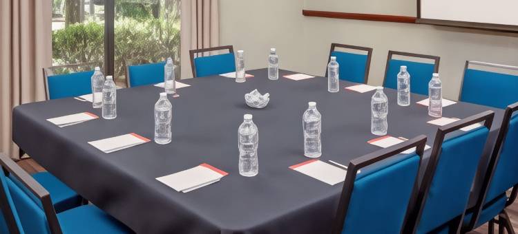 亚特兰大-德卢斯-格威内特县欢朋套房酒店(Hampton Inn & Suites Atlanta/Duluth/Gwinnett County)图片