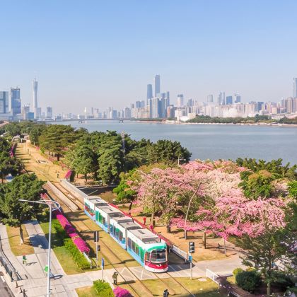 广州5日4晚自由行