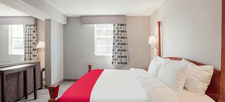 康尼奥特戴斯酒店(Days Inn by Wyndham Conneaut)图片
