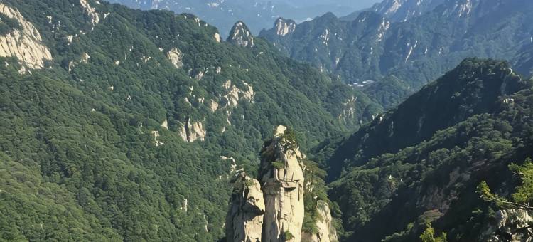 龙丰园民宿(鲁山尧山景区店)图片
