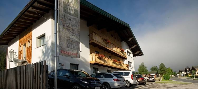 埃斯尔费尔兹姆斯酒店(Essl in Filzmoos)图片