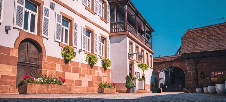 奥伯格切瓦尔布兰科温泉酒店(L'Auberge du Cheval Blanc et Spa)图片