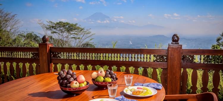 婆罗浮屠度假别墅(Villa Borobudur Resort)图片