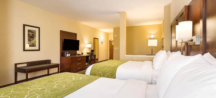 舒适套房酒店(Comfort Suites Greenville South)图片
