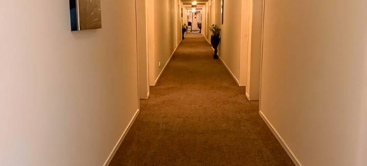 北帕默斯顿BKs高级汽车旅馆(B-Ks Premier Motel Palmerston North)图片