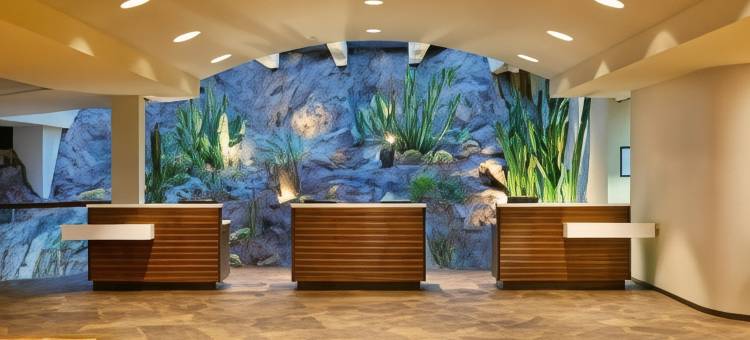坦佩巴特斯菲尼克斯万豪度假村(Marriott Phoenix Resort Tempe at the Buttes)图片
