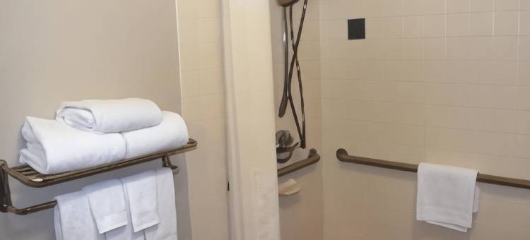宾厄姆顿约翰逊城拉昆塔温德姆酒店(La Quinta Inn by Wyndham Binghamton - Johnson City)图片