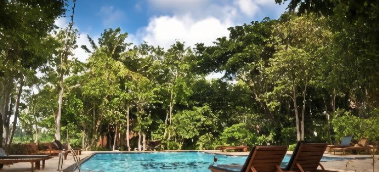 佩尔韦赫拉田园度假村(Pelwehera Village Resort)图片
