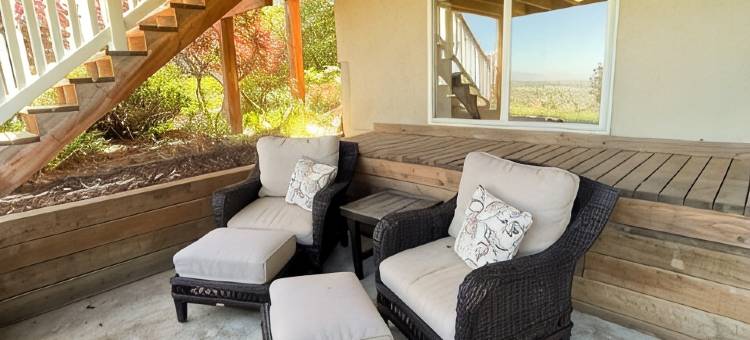 整层采光地下室2卧1卫带迷人景观公寓(Full Above Ground Basement 2 BR 1 B w/ Gorgeous Views)图片
