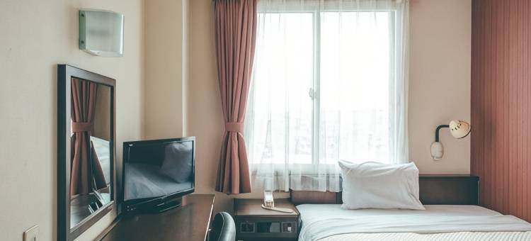 丰桥站酒店(Toyohashi Station Hotel)图片