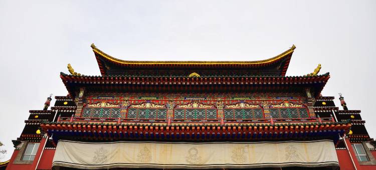 西宁丽豪酒店(湟中鲁沙尔店)图片