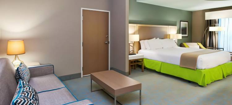 智选假日套房酒店华纳罗宾斯(Holiday Inn Express & Suites Warner Robins North West)图片