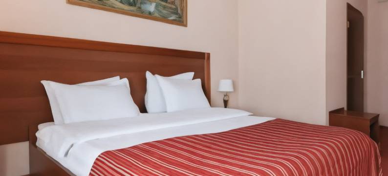 里贾纳纳彼得堡斯克伊酒店(Regina Hotel on Peterburgskaya)图片