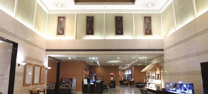 东京两国第ー酒店(Dai-Ichi Hotel Ryogoku)图片