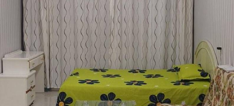 王艾平公寓(卫国巷分店)图片