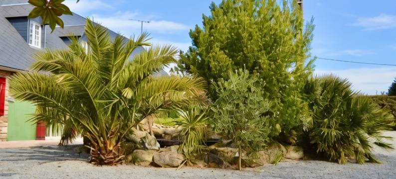 拉皮雄尼尔(La Pichonnière)图片