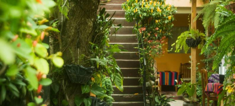 旅人旅馆(Hospedaje El Viajero)图片