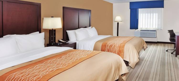 舒适酒店(Comfort Inn)图片