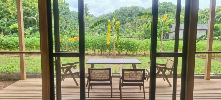 Terra Clementia图片