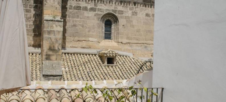 艺术圈 1911 精品酒店(Círculo Artístico 1911 Hotel Boutique)图片