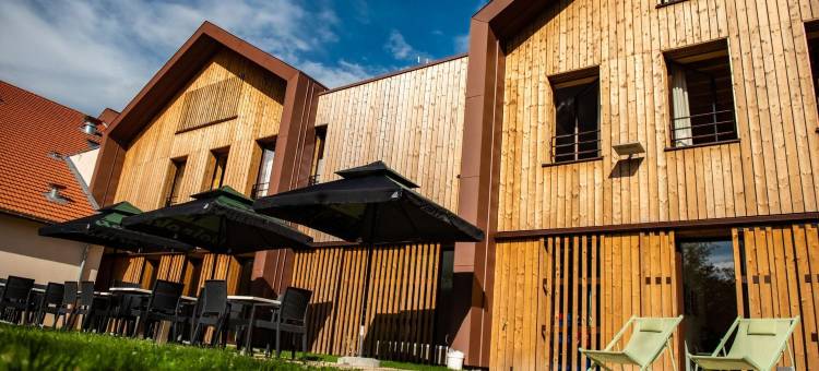 皮埃尔-佩尔塞高地及温泉酒店(Logis Hôtel Altitude et Spa Pierre-Percée)图片