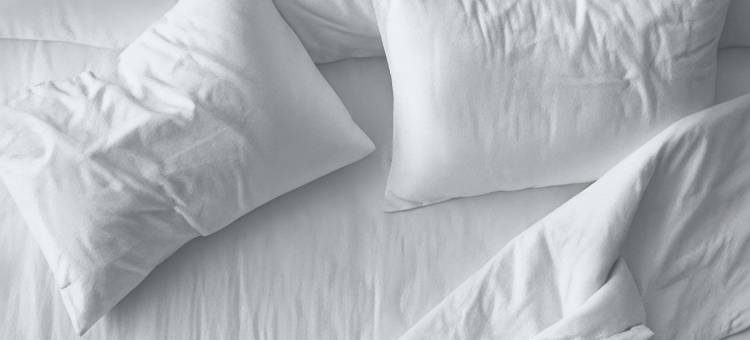 阿马里洛舒适全套房酒店(Spark by Hilton Amarillo Western Plaza)图片