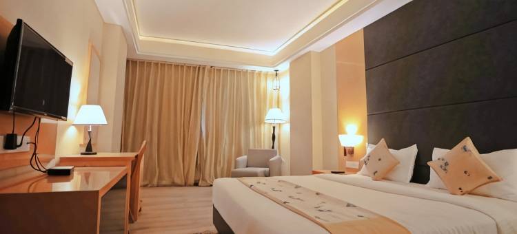 宾迪拉姆施瑞格酒店(Bindiram Express by ShriGo Hotels)图片