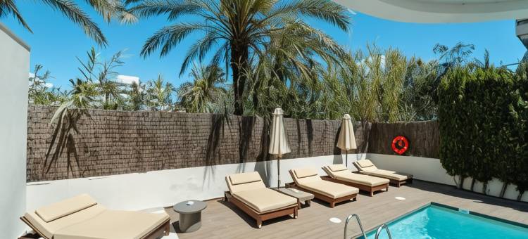 帕查酒店(Pacha Hotel)图片