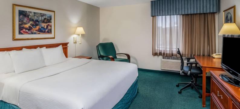 纳什维尔富兰克林拉昆塔温德姆套房酒店(La Quinta Inn & Suites by Wyndham Nashville Franklin)图片