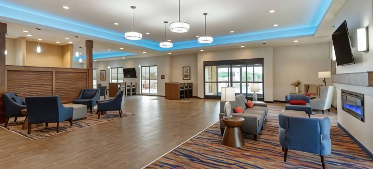 舒适套房酒店(Comfort Suites)图片