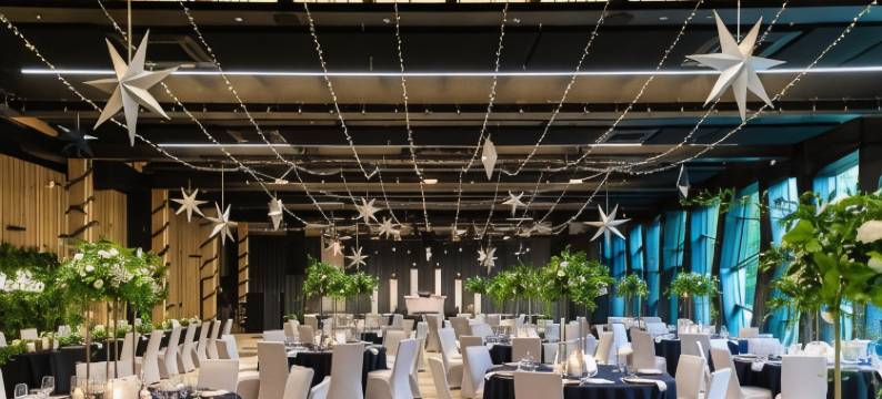 瑞迪森蓝索波特酒店(Radisson Blu Hotel, Sopot)图片