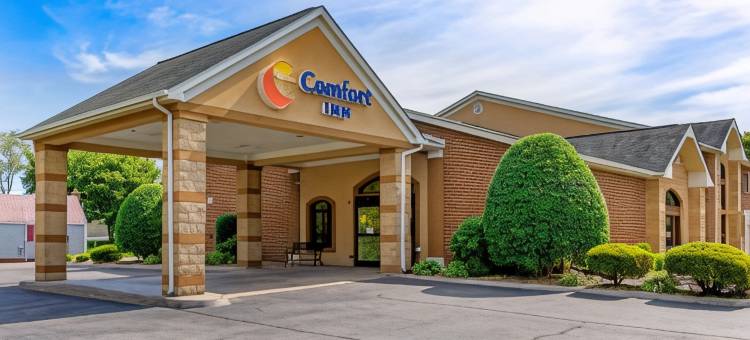 阿特金斯马里恩I-81舒适酒店(Comfort Inn Atkins-Marion I-81)图片