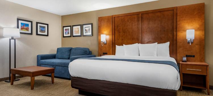 伯明翰-艾昂戴尔舒适酒店(Comfort Inn Birmingham - Irondale)图片