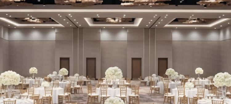 德尔塔万豪酒店-威奇托福尔斯会议中心(Delta Hotels by Marriott Wichita Falls Convention Center)图片