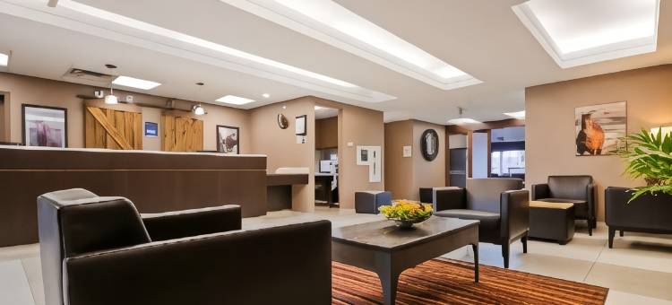 红鹿贝斯特韦斯特优质套房酒店(Best Western Plus Red Deer Inn  Suites)图片