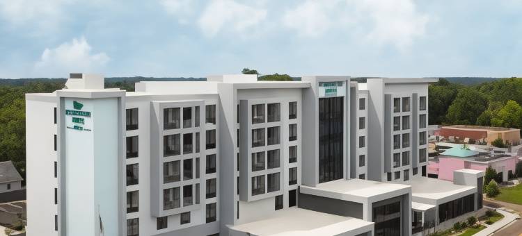 杰克逊-丰德伦医疗区Homewood Suites by Hilton(Homewood Suites  by Hilton Jackson Fondren Medical District)图片