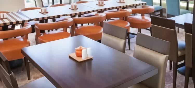 杰克逊佛洛伍得希尔顿花园酒店(Hilton Garden Inn Jackson/Flowood)图片