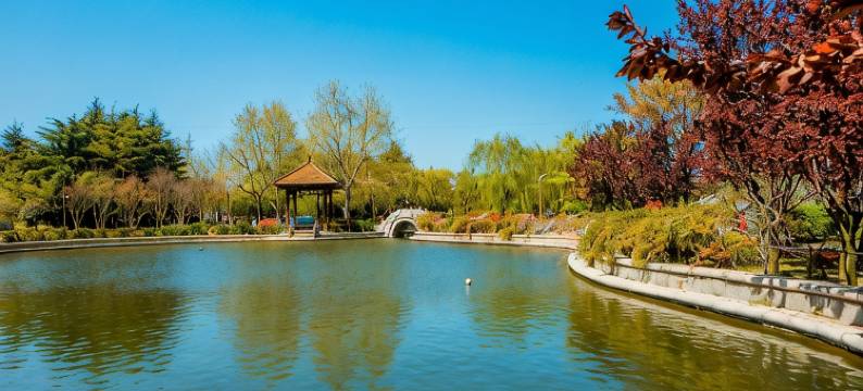 山东威海1030公寓(海晏街分店)图片