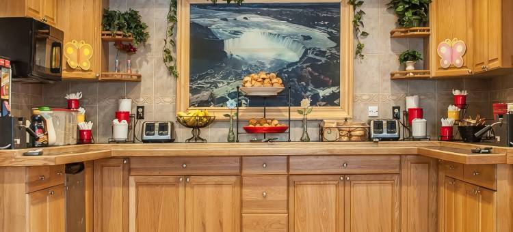 伊克诺旅馆-瀑布北(Econo Lodge at the Falls North)图片