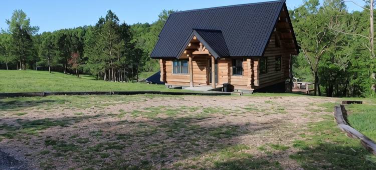 白野牛山庄瀑布景观木屋;亲子友好，配有通往湖泊的通道(Waterfall View Cabin at White Buffalo Lodge;Family-friendly with lake access)图片