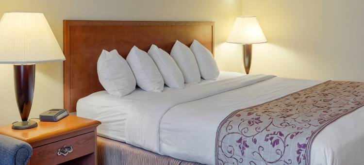 格林维尔罗德威酒店(Rodeway Inn Greenville)(Rodeway Inn)图片