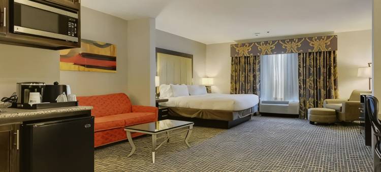 智选假日套房酒店冈萨雷斯(Holiday Inn Express & Suites GONZALES by IHG)图片