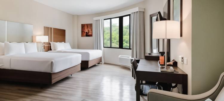 托巴哥的舒适酒店客房和套房(Comfort Inn & Suites Tobago)图片