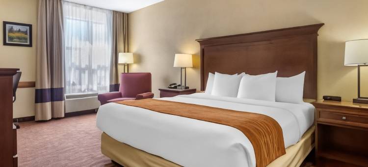 布兰森梅多斯舒适套房酒店(Comfort Inn & Suites Branson Meadows)图片
