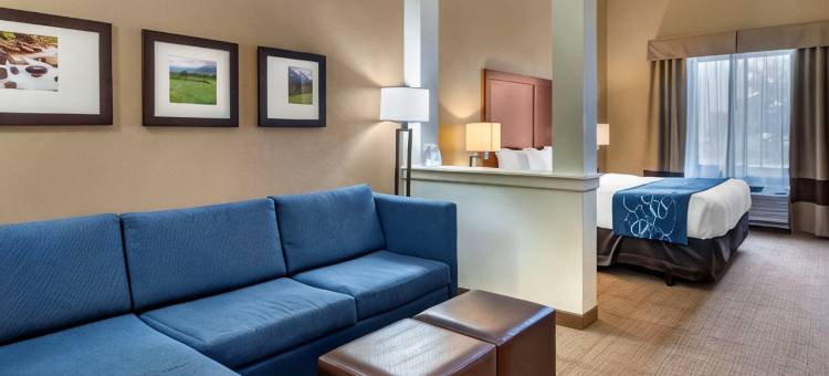 机场-大学舒适套房酒店(Comfort Suites Airport-University)图片
